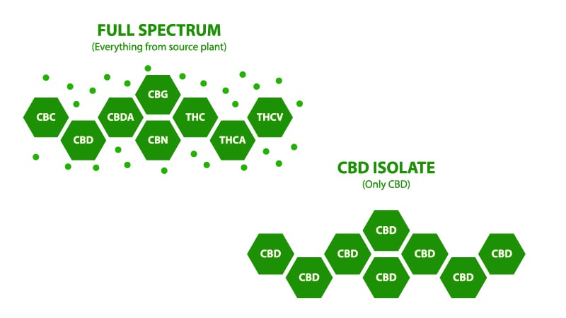 Illustration of Full Spectrum CBD Oil vs Isolate CBD Oil on white background