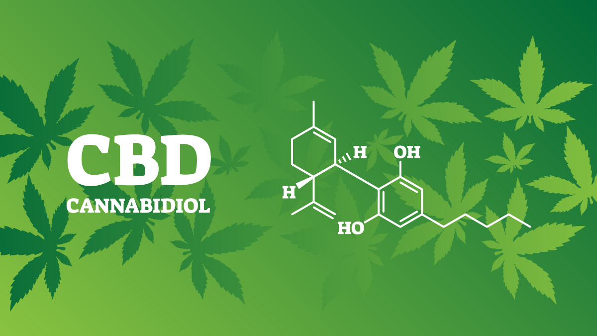 Illustration of CBD's chemical formula on green hemp leaves background