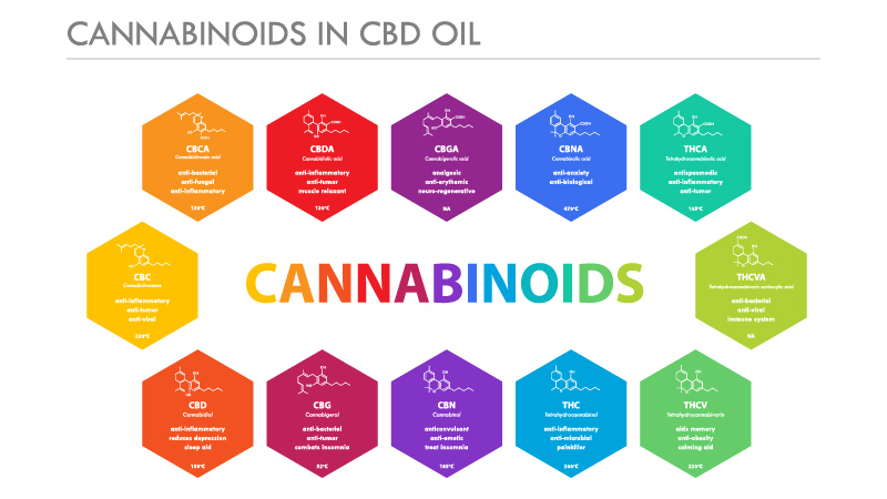 Cannabinoids in Full Spectrum Oil