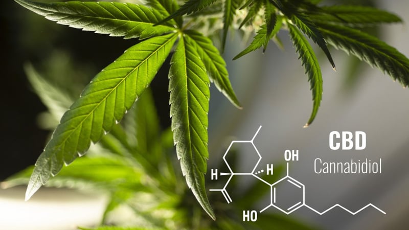 Hemp leaf and CBD Chemistry molecule