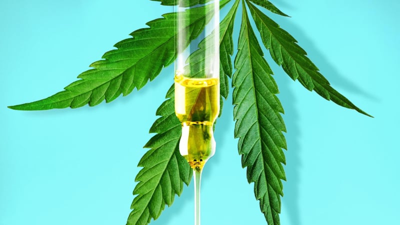 CBD Oil dropper and hemp leaf on blue background