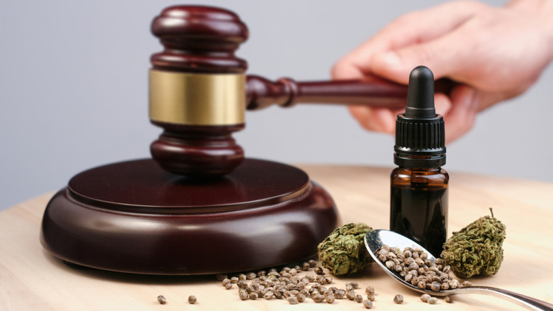 Hemp flowers, oil, and seeds and judges gavel