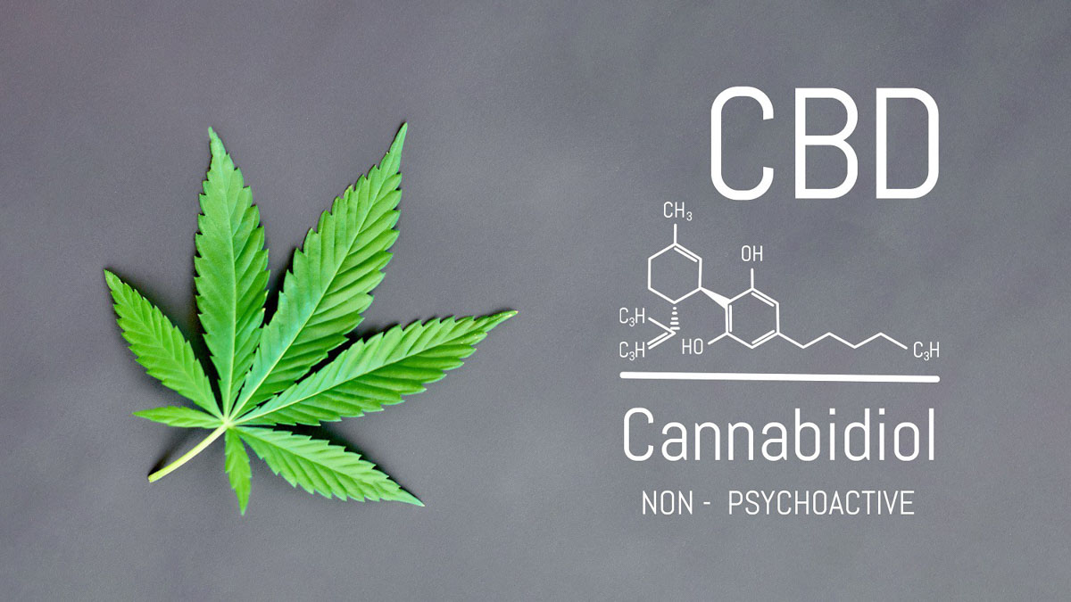 Hemp leaf with CBD chemical structure on grey background