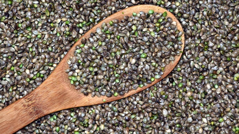 Hemp Seed with wooden spoon