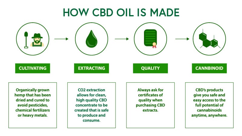 The process of making CBD oil