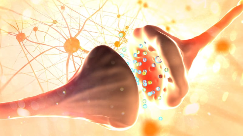 Illustration of ECS while affecting by terpenes