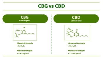 CBG Vs. CBD: Differences, Benefits, Effects, And More