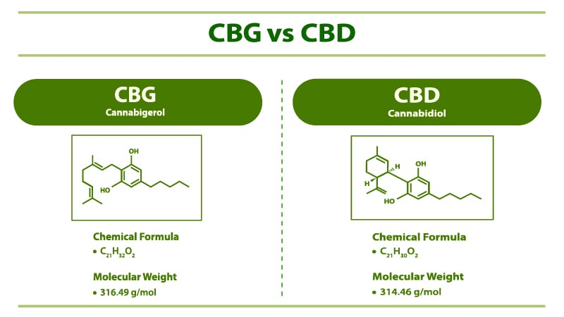 Illustration of CBG and CBD with chemical formula and molecular weight on white background