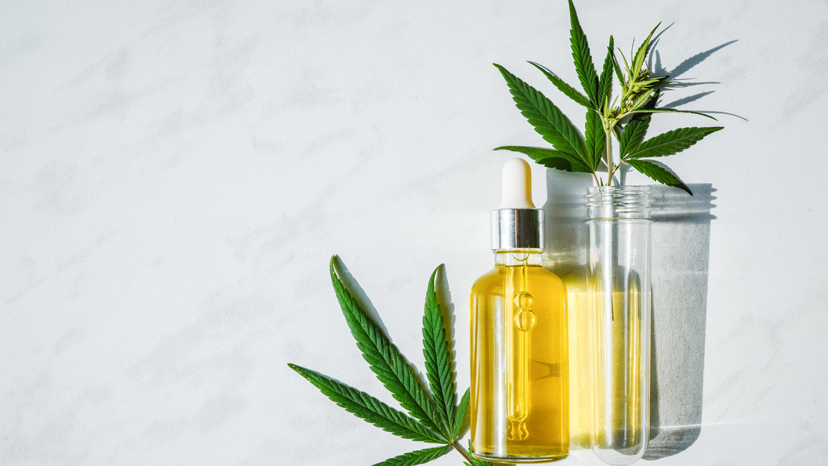 CBD Oil and hemp leaf with grey background